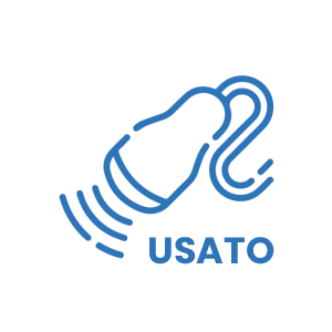 Usato Certificato